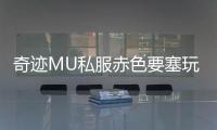 奇迹MU私服赤色要塞玩家眼中的团队协作与配合